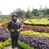 erna dj