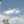 رغد قعرور