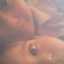 adri