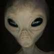 Tatiwasp