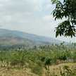 Ade Usmanto