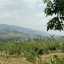 Ade Usmanto