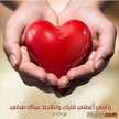 Martina Magdy