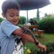 ledy noveni