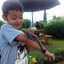 ledy noveni