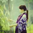 Pica_Perdana