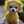 Αναστασια Αντωνοπουλου
