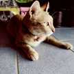 WayKa_Cas
