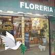 Floreria Joa Flor