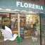 Floreria Joa Flor