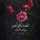 Shimaa Omar Shimaa Omar