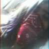 Lay-dany Layla100
