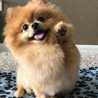 Niloo 
