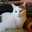 Catz Catz