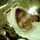 Tuti Noor Tuti Noor