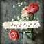 reem louay