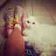 Chela 