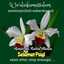 nugrahaeni budianti
