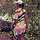 Eleftheria Eleftheria