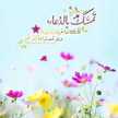 نينا السقاف