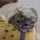 Alexandria the cat rocker Alexandria the cat rocker