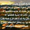 نردين ذياب