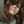 Maria Clara F. Warmling
