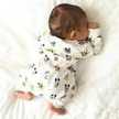 Sham Hassan