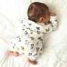 Sham Hassan