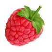 Edina Raspberry