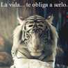 Candela Quilmes Candela Quilmes