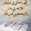 زهورررر
