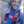 Leonel David 