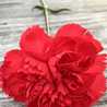 Eman Abdallah Eman Abdallah