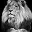 Haneen 