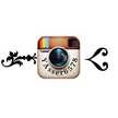 Yasser)