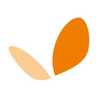 APACE TOLEDO