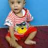 Anjus