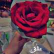 ❤دلول ❤