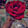 ❤دلول ❤
