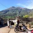 Pedagang Sayur Organik Greengrocer