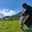 Lingga 