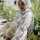 Irma Noviani Irma Noviani