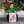 Thanh Tâm