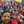perspoli0