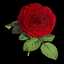 NABILA