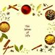 This Spices Of Life