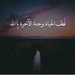حبيب الكل 