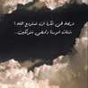 هناء القرشي 