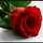 زها الشريف